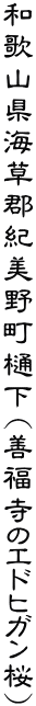 �a�̎R���C���S�I���쒬��(�P�����̃G�h�q�K����)
