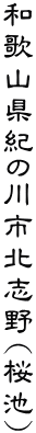 �a�̎R���I�̐�s�k�u��(���r)